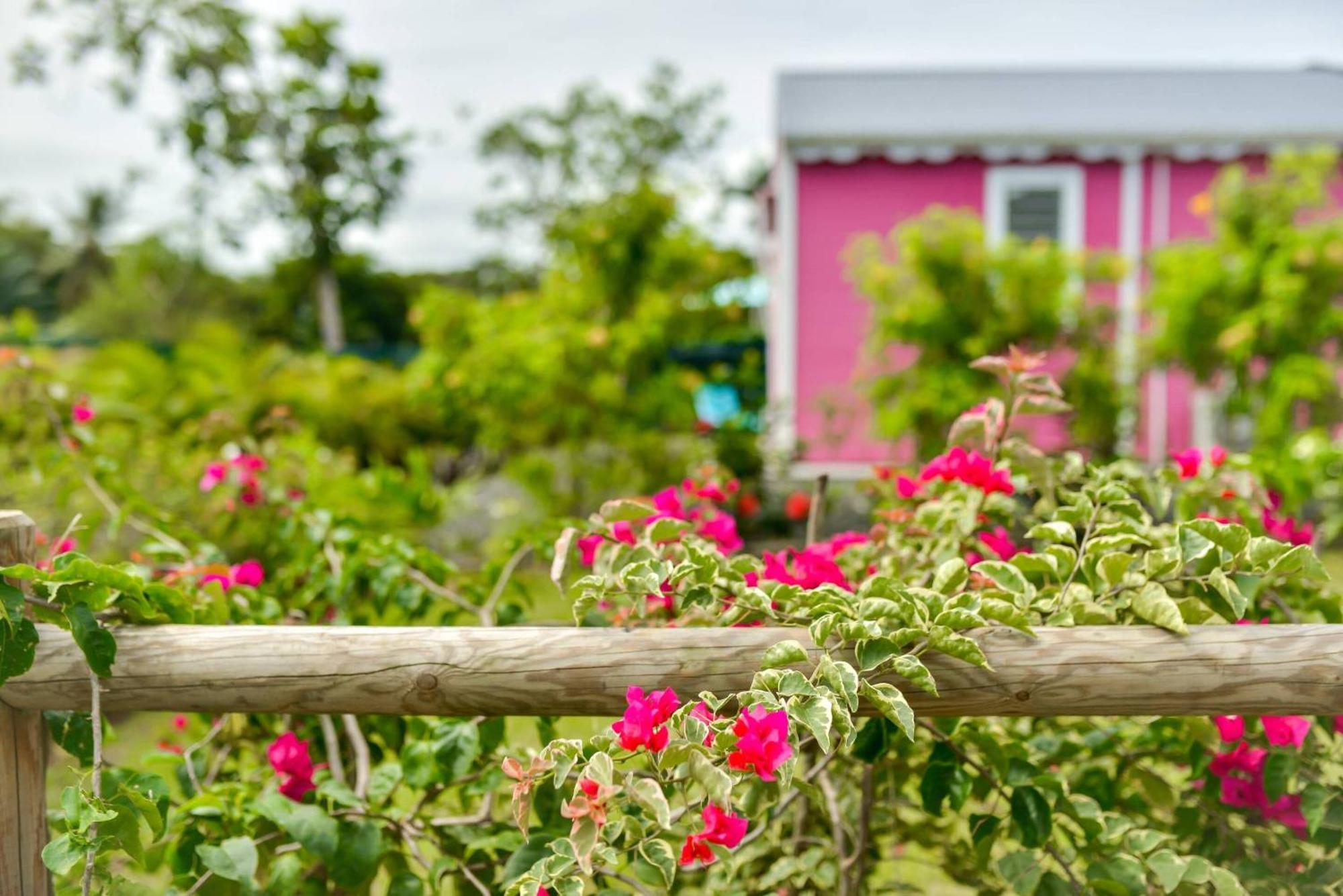 Les Jardins De Chantilly -Bungalows 4 Etoiles Avec Jardins Et Piscines Privees Бе-Мао Номер фото
